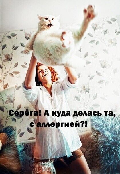 в А УАЗ денег та за