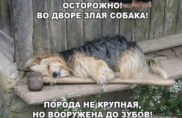 но вооруЖвнА до 3255351