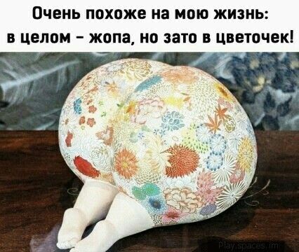 Очень ПОХОЖЕ на МОЮ ЖИЗНЬ В целом жопа НО авто В ЦВЕТОЧЕК