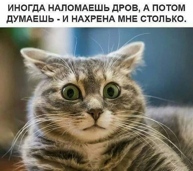 ИНОГДА НАПОМАЕШЬ ДРОВ А ПОТОМ дУМАЕШЬ И НАХРЕНА МНЕ СТОЛЬКО __