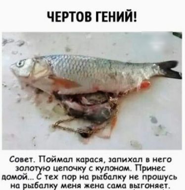 ЧЕРТОВ ГЕНИЙ Сони Поймал шрпся ппихал го шло цепочку кулонам Принес помой тих пор на рыбалку прошусь на рыбалку мш жена сама выши и