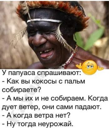 У папуаса спрашивают Как вы кокосы с пальм собираете А мы их и не собираем Когда дует ветер они сами падают А когда ветра нет Ну тогда неурожай