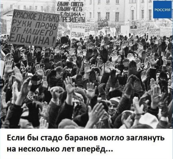 Если бы сгадо баранов могло заглянуть на несколько лет вперёд