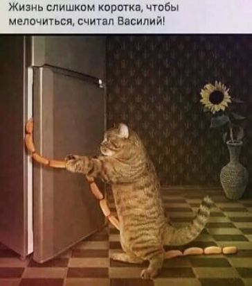 чтобы читал Васили изнь слишком кори мелочшься