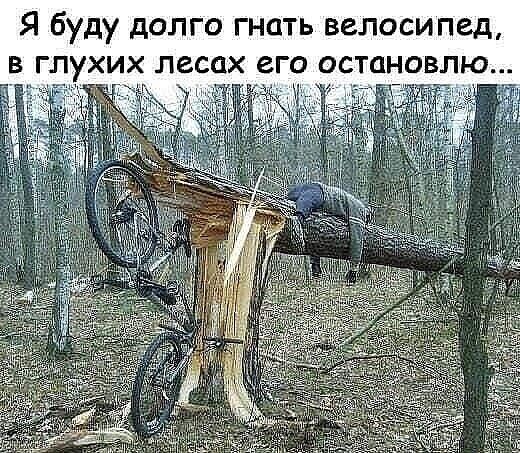 Я буду долго гнать велосипед в глухих лесах его остановлю