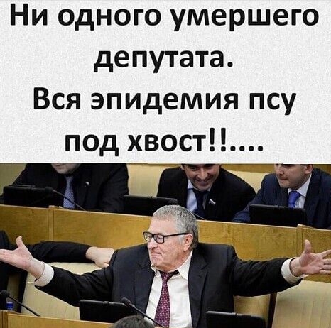 Ни одного умершего депутата Вся эпидемия псу под хвост