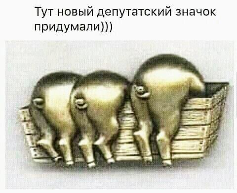 Тут новый депутатский значок ПРИДУМЗПИ