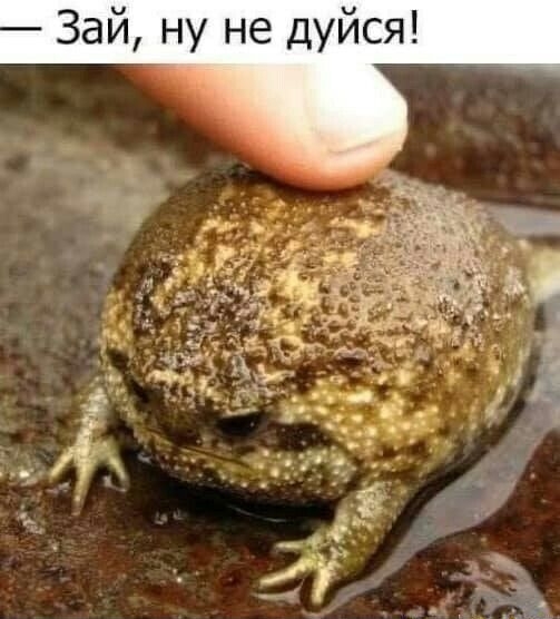 Зай ну не дуйся