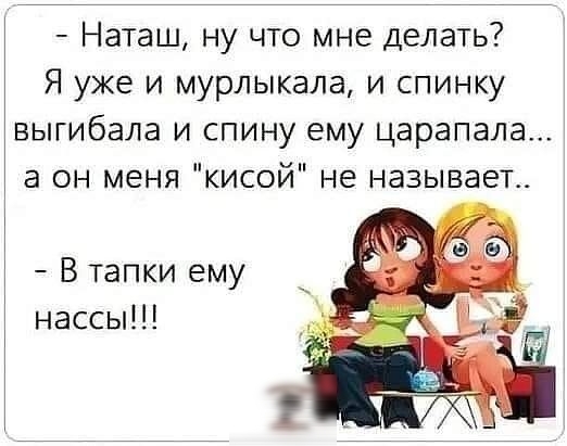 Наташ ну что мне делать Я уже и мурлыкала и спинку выгибала и спину ему царапала а он меня кисой не называет В тапки ему нассы