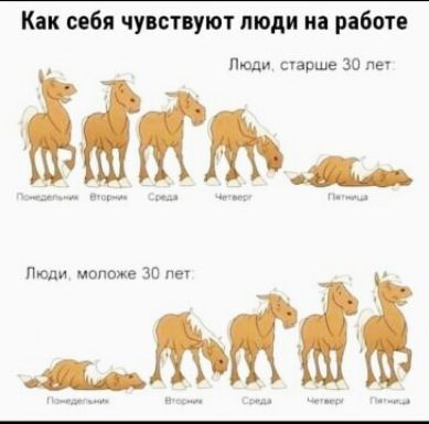 Кпк сибя чуппуют люди ип работе Люди старше зо лм Пиши моложе 30 лет мг