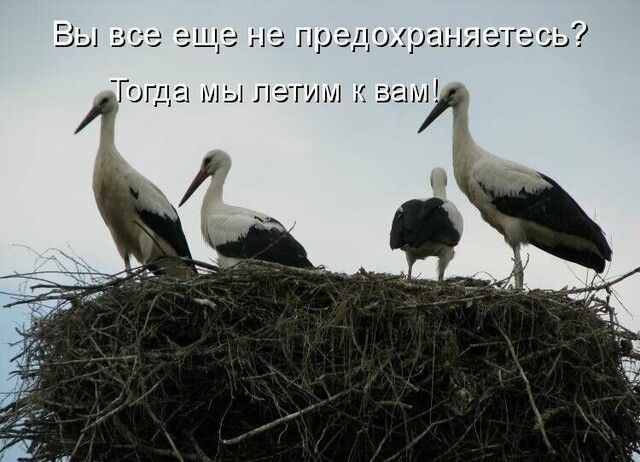 Тогда мы летим к зани 0 1 да не поздохргшяагэсь Ш и _ п