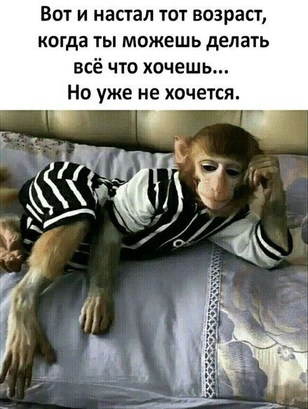 Вот и настал тот возраст когда ты можешь делать всё что хочешь Но уже не хочется А