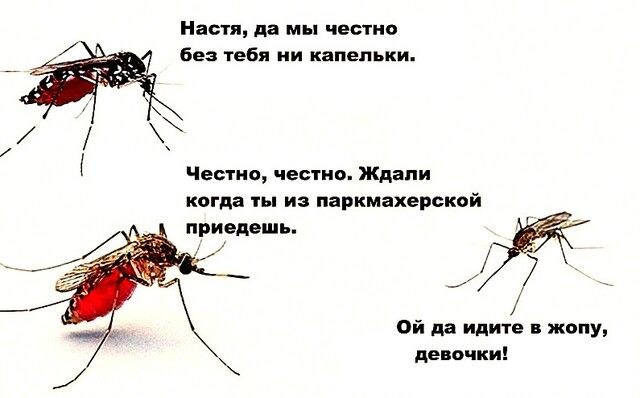 Настя да мы честно без тебя ии капельки Честно честна Ждали когда ты из паркмахерской приедешь Ой да идите жопу девочки