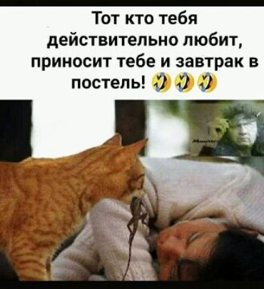 Тот кто тебя действительно любит приносит тебе и завтрак в постель ц
