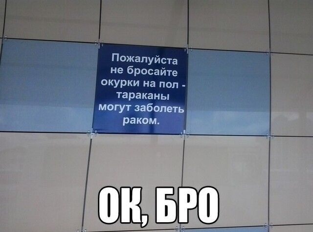 Пожалуйста не бросайте окурки на пол тараканы а зд