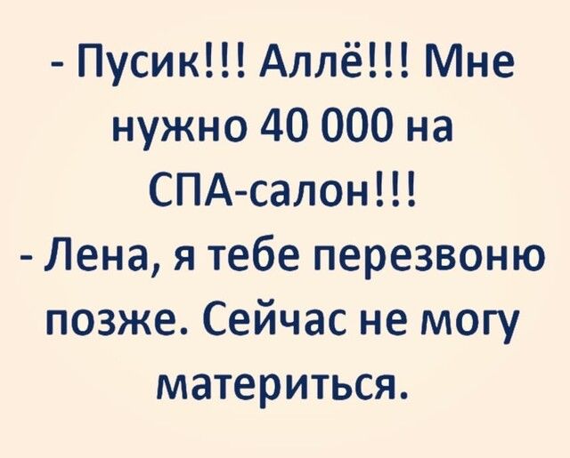 Пусик Аллё Мне нужно 40 000 на СПА салон Лена я тебе перезвоню позже Сейчас не могу материться