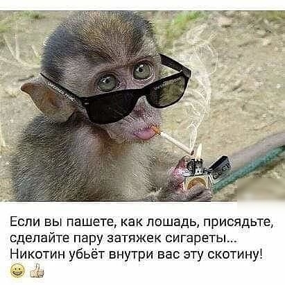 Если вы пишете как лошадь присядьте сделайте пару затяжек сигареты Никотин убьёт внутри вас эту скотину чт