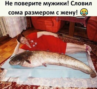 Не поверите мужики Словил сома размером с жену д