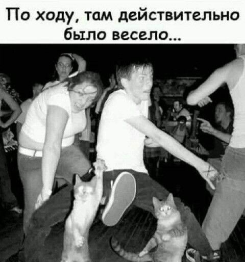По ходу там действительно было весело