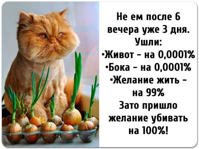 Не ем после 6 вечера уже 3 дня Ушли Живот на 00001 Бока на 00001 Желаиие жить на 99 Зато пришло желание убивать на 100