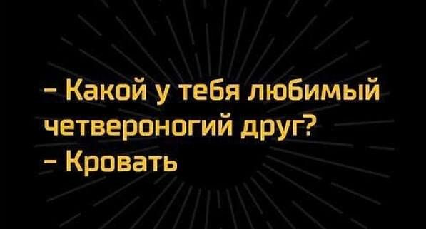 Какой у тебя любимый четвероногий друг Кровать