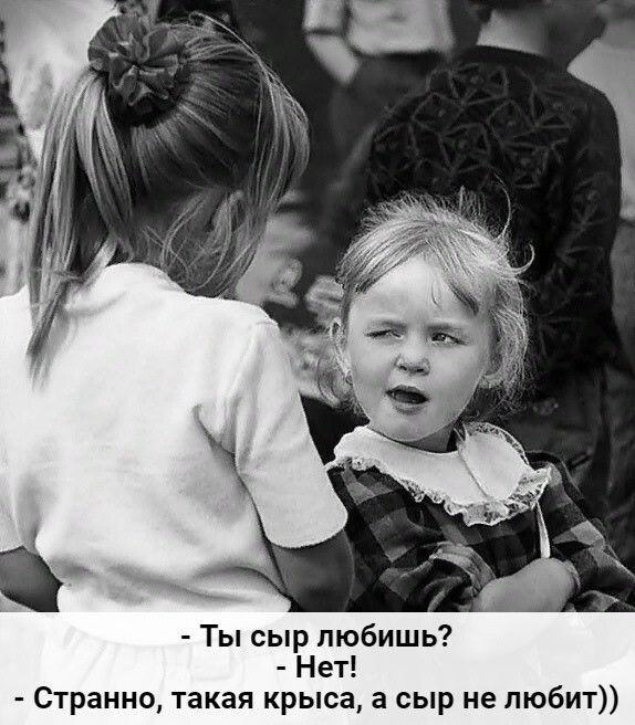 Ты сыр любишь Нет Странно такая крыса а сыр не любит