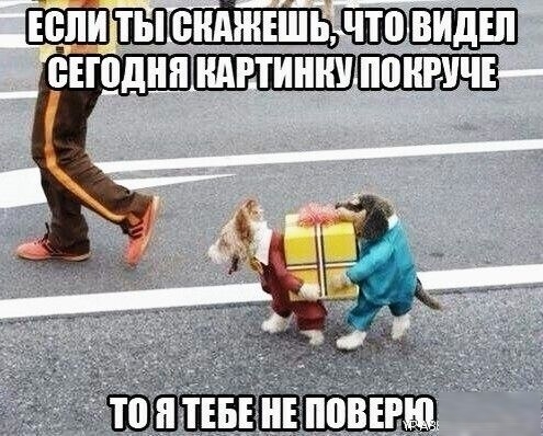 т йвповн