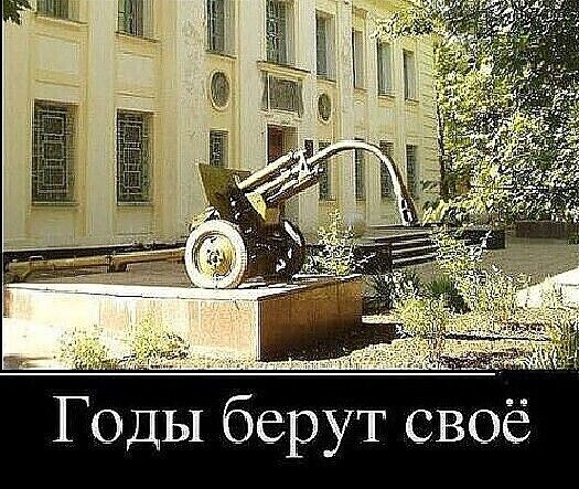 в Годы бреут своё