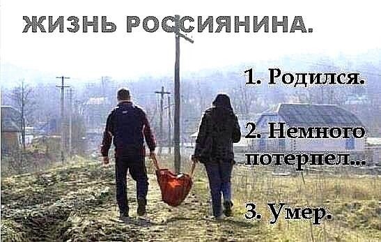 ЖИЗНЬ РОЗ ИЯНИНА