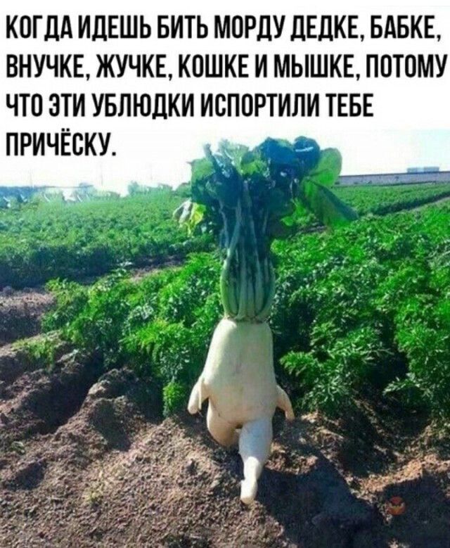 КОГДА ИДЕШЬ БИТЬ МОРДУ дЕДКЕ БАБКЕ ВНУЧКЕ ЖУЧКЕ КОШКЕ И МЫШКЕ ПОТОМУ ЧТО ЭТИ УБЛЮЛКИ ИСПОРТИЛИ ТЕБЕ ПРИЧЁОКУ