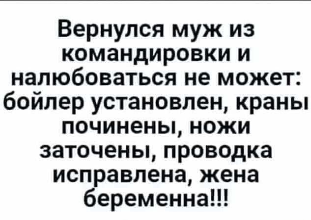 Вернулся муж из командировки и налюбоваться не может бойлер установлен краны починены ножи заточены проводка исправлена жена беременна
