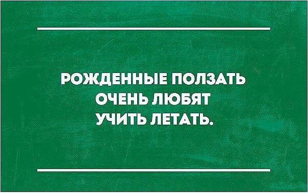 РОЖДЕННЫЕ ПОЛЗАТЬ ОЧЕНЬ ЛЮБЯТ УЧИТЬ ЛЕТАТЬ