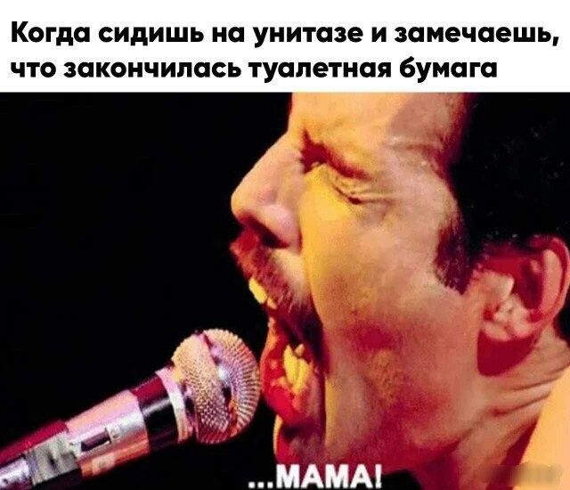 Когда сидишь НС унитазе И замечаешь ЧТО закончилась туалетная бумага