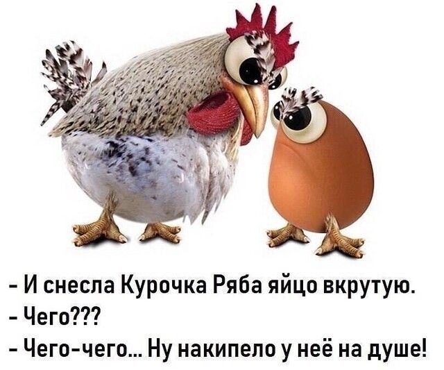 И снесла Курочка Ряба яйцо вкрутую Чего Чего чего Ну накипело у неё на душе