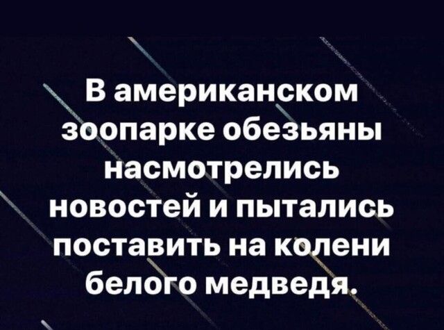В американском зоопарке обезьяны насмотрелись новостей и пытались поставить на кодени белоЪо медведя