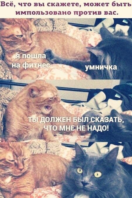 Всё что вы скажете может быть импопьзовано против вас
