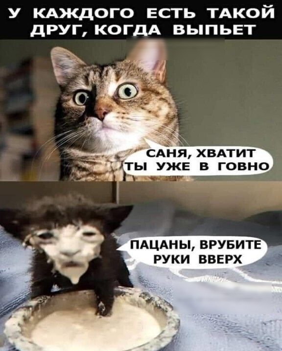 у КАЖДОГО ЕСТЬ ТАкой друг когдА выпьет пАЦАны ВРУБИТЕ руки вверх
