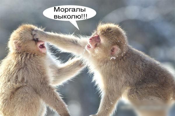 Моргап ы вы копю