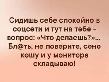 Сидишь себе спокойно в соцсети и тут на тебе вопрос Что делаешь Бпть не поверите сено кошу и у монитора складываю