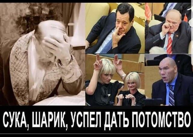 СУКА ШАРИК УСПЕЛ ДАТЬ ПОТОМСТВО