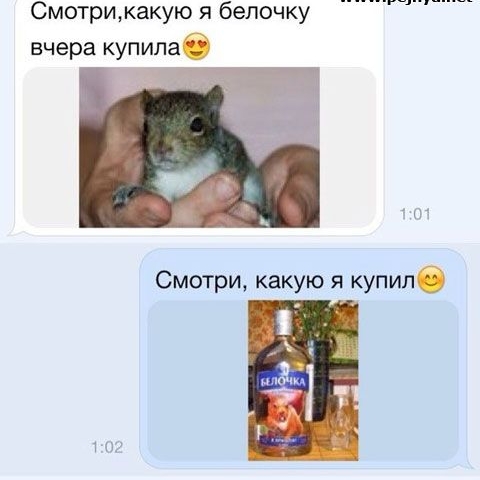 Смотрикакую я белочку вчера купилаб