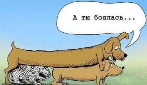 А тн боялась