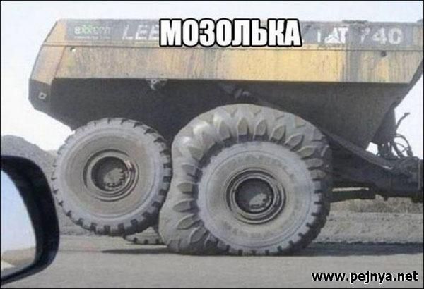 ре1пуамег