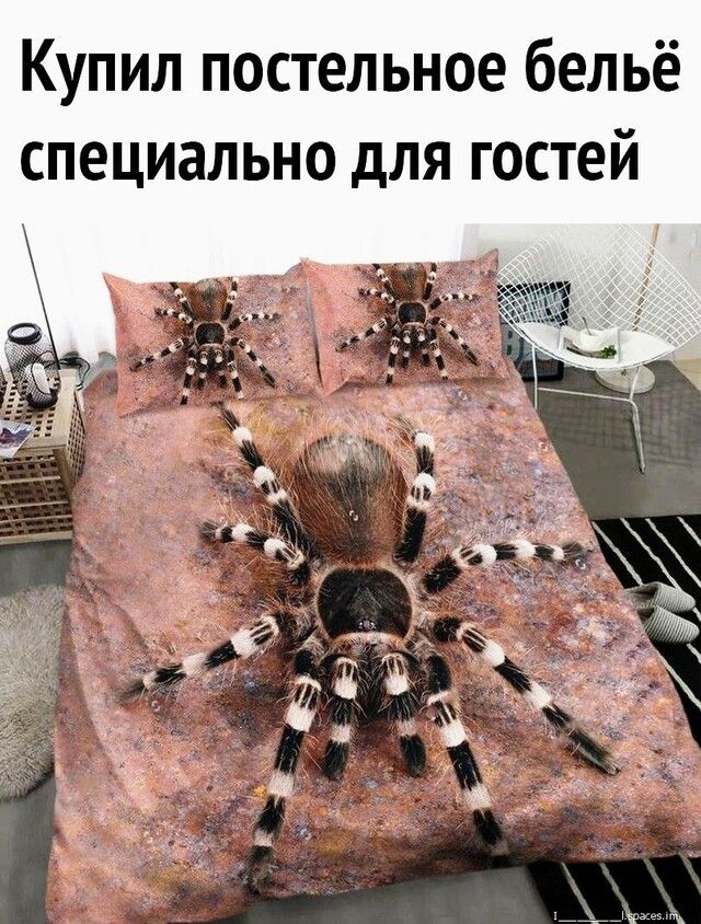 Купил постельное бельё специально для гостей