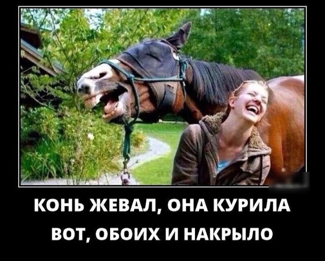 КОНЪ ЖЕВАЛ ОНА КУРИЛА ВОТ ОБОИХ И НАКРЫЛО