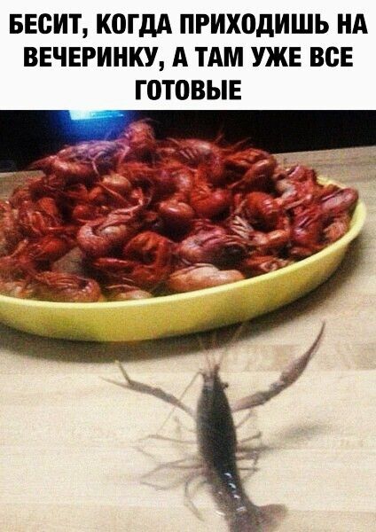 БЕСИТ 0ГдА ПРИХОдИШЬ НА ВЕЧЕРИНКУ А ТАМ УЖЕ ВСЕ ГОТОВЫЕ