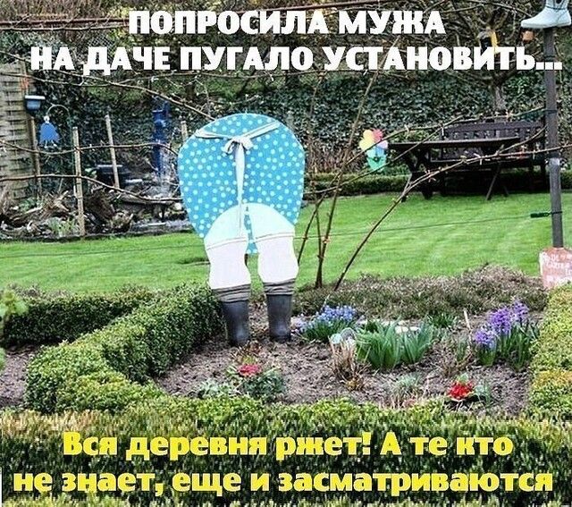 сматшшаютш