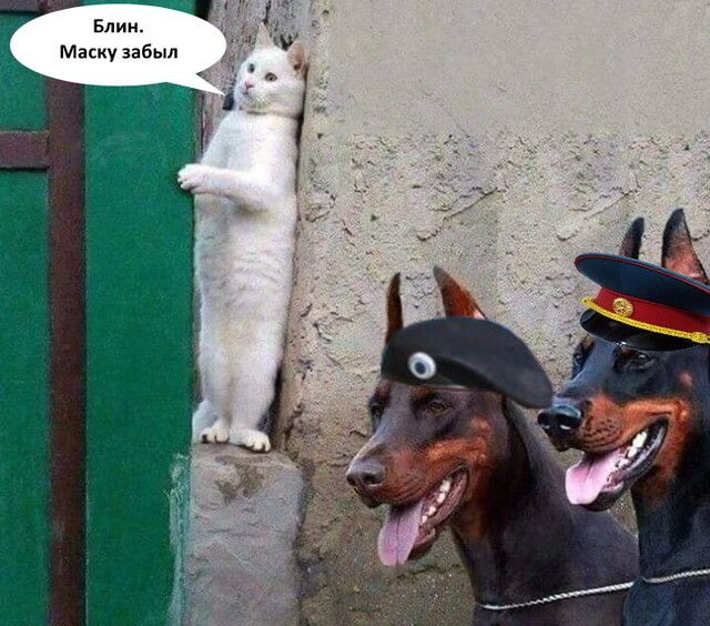 Маску забыл