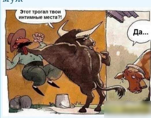 эпл гроши пои иитмиые местн