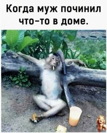 Когда МУЖ ПОЧИНИЛ ЧТО ТО В доме